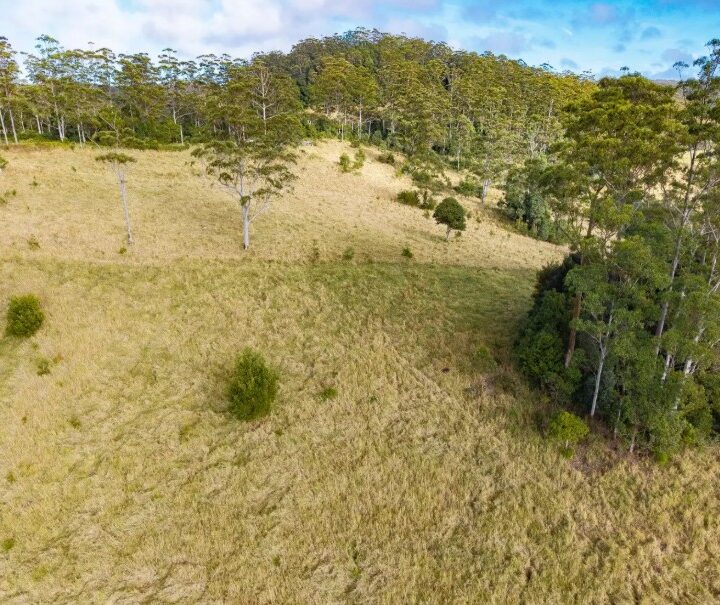 BELLTHORPE  QLD  4514