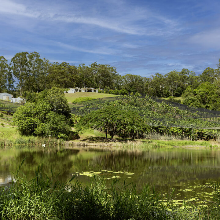 WEST WOOMBYE  QLD  4559