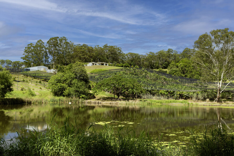 654 Blackall Range Road