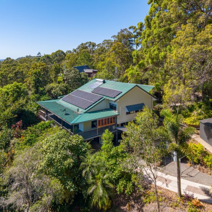 411 Hunchy Road