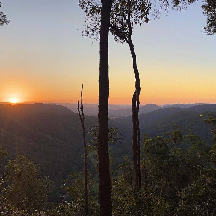 MONTVILLE  QLD  4560