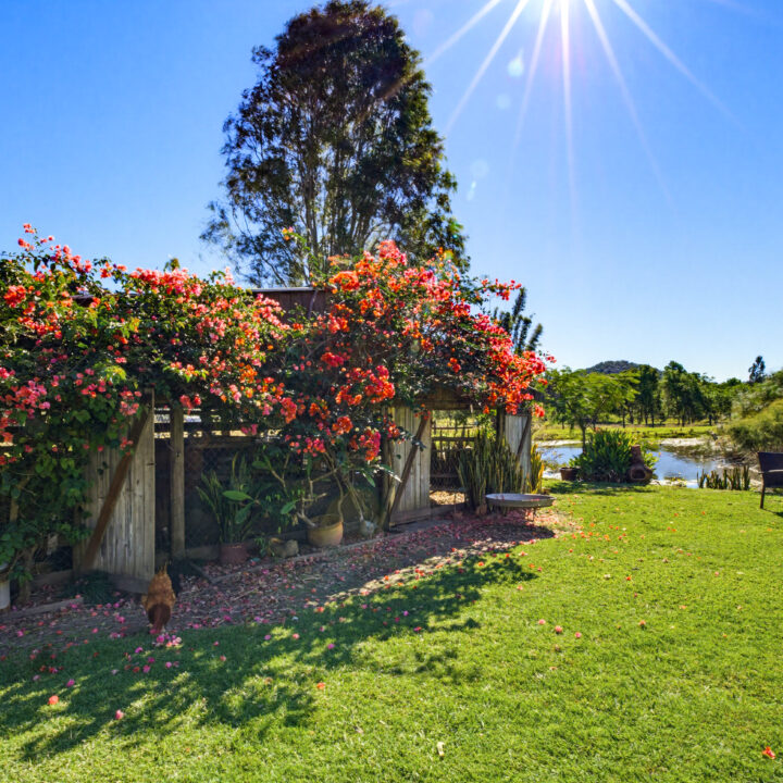 YANDINA CREEK  QLD  4561