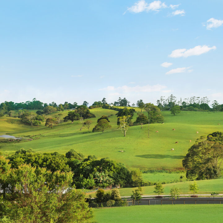 MALENY  QLD  4552