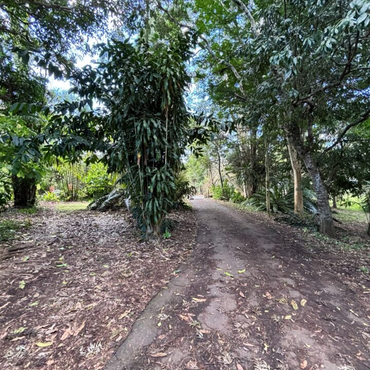 WEST WOOMBYE  QLD  4559
