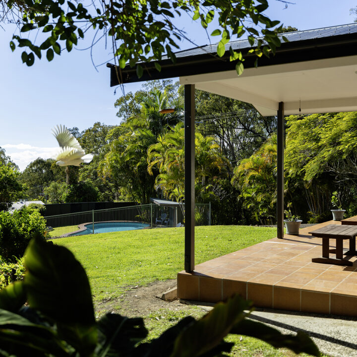 TOWEN MOUNTAIN  QLD  4560